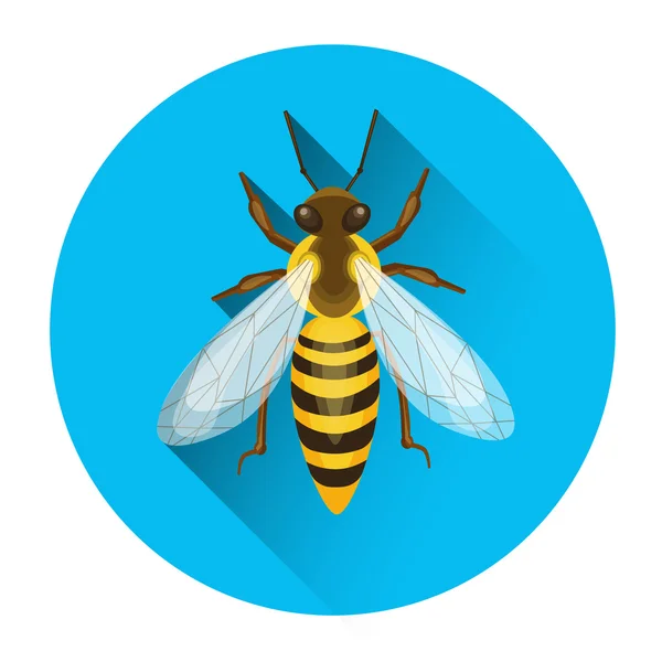 蜜蜂蜂蜜昆虫养蜂场图标 — 图库矢量图片