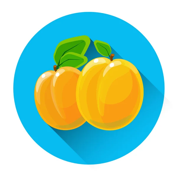 Abrikoos kleurrijk Fruit pictogram — Stockvector