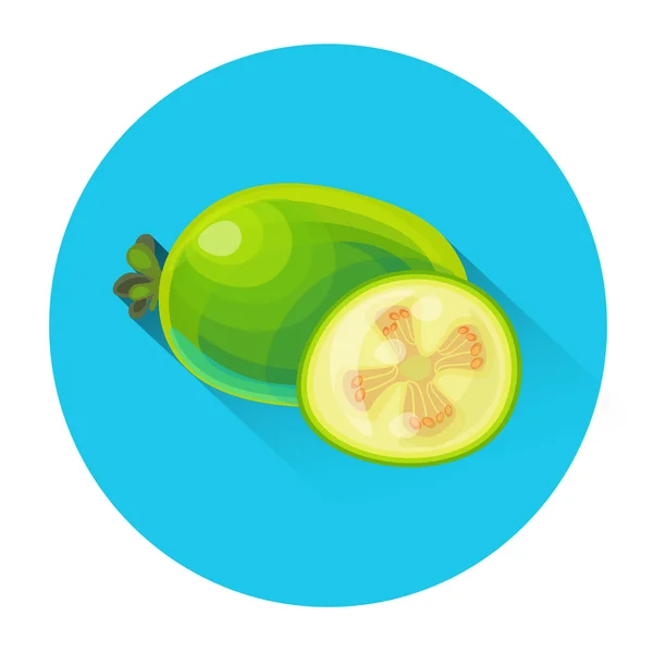 Εικονίδιο πολύχρωμα φρούτα Φειζοα-Γκουαγιαμπο — Διανυσματικό Αρχείο
