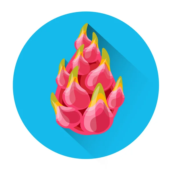 Dragon frukt färgglada ikon — Stock vektor