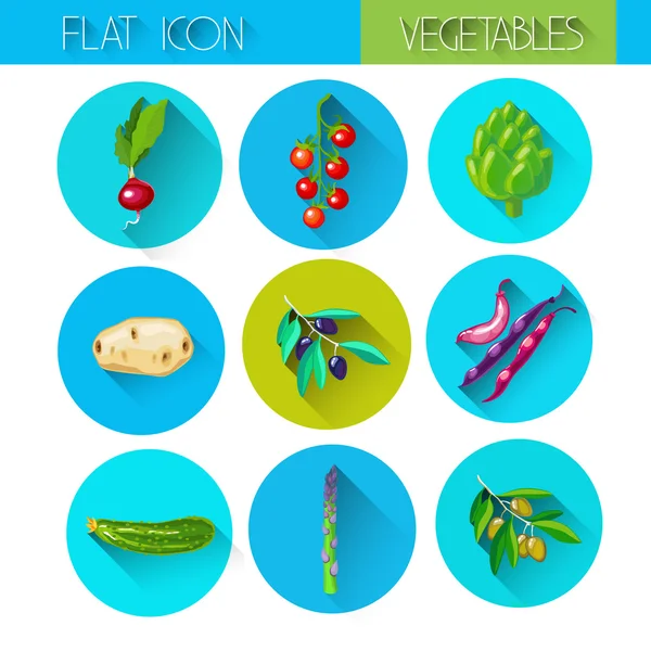 Färgglada samling vegetabiliska Ikonuppsättning — Stock vektor