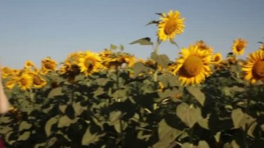 Kırsal mutlu yolda yürürken insanlar grup arkadaşları gülümseme, yaz