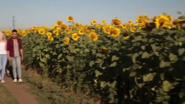 Gente grupo amigos caminando campo camino feliz sonrisa, verano — Vídeos de Stock