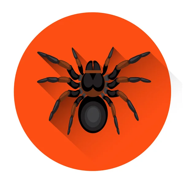 Big Black Spider Scary Insect Halloween Holiday Icon - Stok Vektor