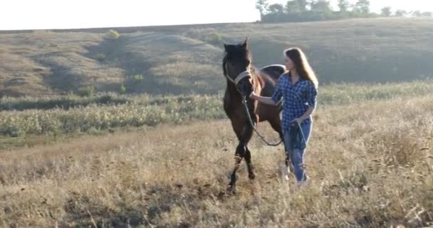 Nő vezető ló séta mező sunrise cowgirl vidéken — Stock videók