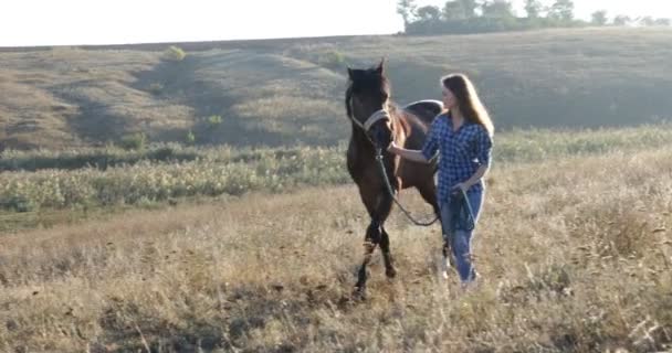 女性リード馬フィールド サンライズ カウガール田舎を歩く — ストック動画