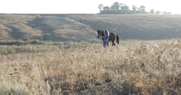 Woman lead horse walking field sunrise cowgirl countryside — Stock Video