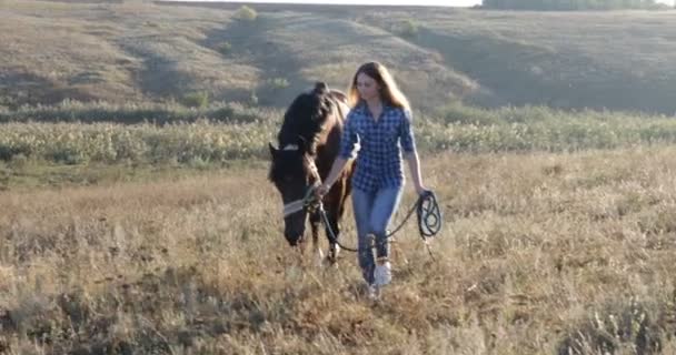 Frau führt Pferd zu Fuß Feld Sonnenaufgang Cowgirl Landschaft — Stockvideo