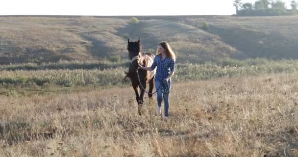 Kvinna leda hästen walking fältet sunrise cowgirl landsbygden — Stockvideo