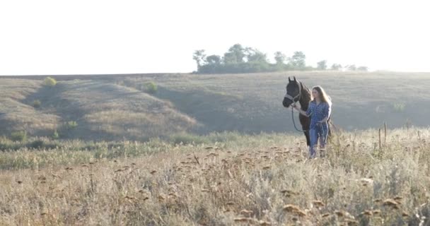 Frau führt Pferd zu Fuß Feld Sonnenaufgang Cowgirl Landschaft — Stockvideo