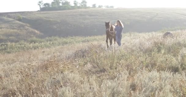 Frau führt Pferd zu Fuß Feld Sonnenaufgang Cowgirl Landschaft — Stockvideo
