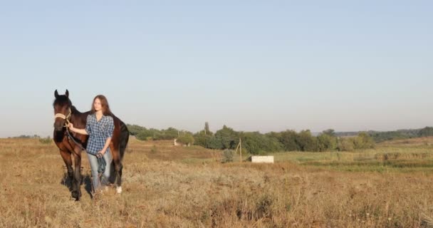 Woman lead horse walking field sunrise cowgirl countryside — Stock Video
