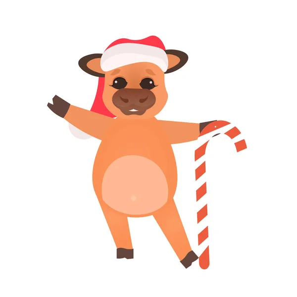 Pequeño buey en sombrero de santa celebración de Navidad caramelo bastón feliz año nuevo 2021 tarjeta de felicitación vaca linda — Archivo Imágenes Vectoriales