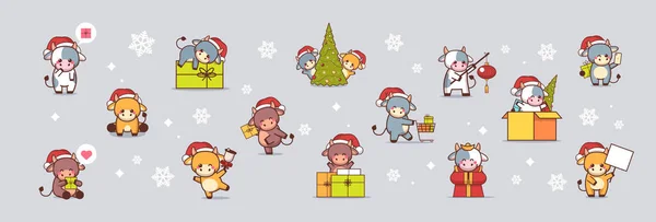 Establecer pequeños bueyes en sombreros de santa feliz año nuevo banner 2021 tarjetas de felicitación vacas mascota personajes de dibujos animados — Archivo Imágenes Vectoriales