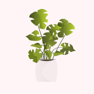 Beyaz arkaplanda izole edilmiş saksı bitkisi