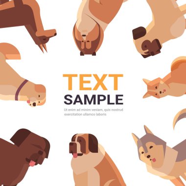 Bir grup safkan köpek kürklü insan arkadaşları ev hayvanı koleksiyonu çizgi film hayvanları portre fotokopi alanı