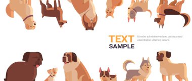 Bir grup safkan köpek, kürklü insan, evcil hayvan, çizgi film hayvanları, portre, fotokopi, uzay yatay konsepti.