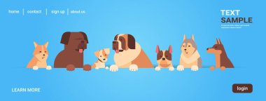 Bir grup safkan köpek, kürklü insan, evcil hayvan, çizgi film hayvanları, yatay fotokopi alanı.