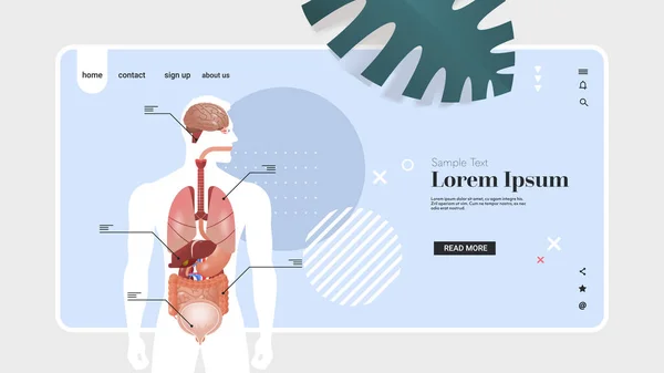 Ανθρώπινη δομή του σώματος infographic αφίσα με το εσωτερικό σύστημα ανατομίας οργάνων πορτρέτο οριζόντιο αντίγραφο χώρου — Διανυσματικό Αρχείο