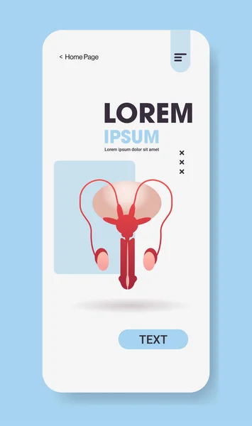Manliga reproduktiva systemet anatomi medicin sjukvård koncept smartphone skärm mobil app vertikal kopia utrymme platt — Stock vektor