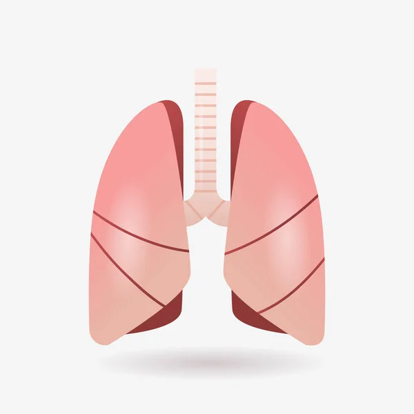 Pulmón icono humano órgano interno anatomía biología salud concepto médico respiratorio sistema respiratorio plano — Vector de stock