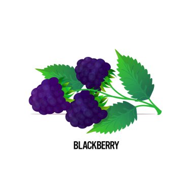 Sulu böğürtlen ikonu. Lezzetli olgun meyve meyvesi. Beyaz arka planda izole edilmiş sağlıklı yiyecek kavramı.