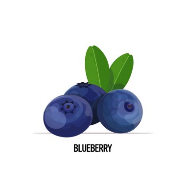 Yapraklı taze yaban mersini. Lezzetli meyve suyu. Beyaz arka planda izole edilmiş sağlıklı yiyecek konsepti.