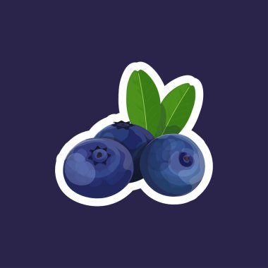 Yapraklı taze yaban mersini. Lezzetli meyve meyvesi. Sağlıklı yiyecek konsepti.