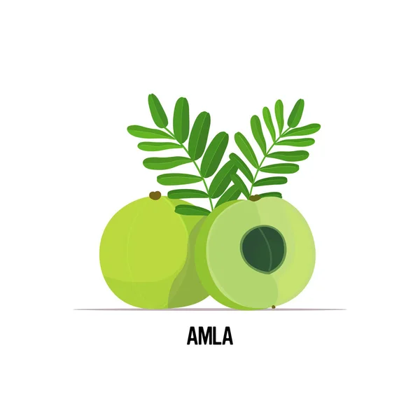 Φρέσκο ζουμερό amla indian gooseberry icon νόστιμο ώριμο φρούτο απομονωμένο σε λευκό φόντο έννοια υγιεινής διατροφής — Διανυσματικό Αρχείο