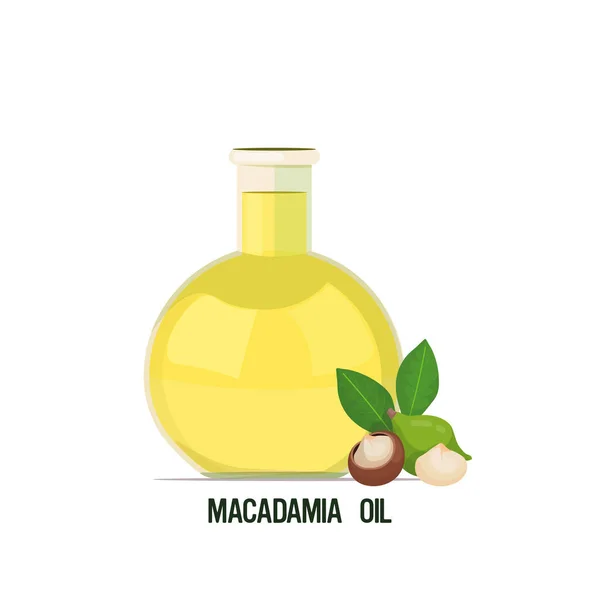 Свежий макадамия масло стеклянная бутылка с семенами и листьями изолированы на белом фоне — стоковый вектор