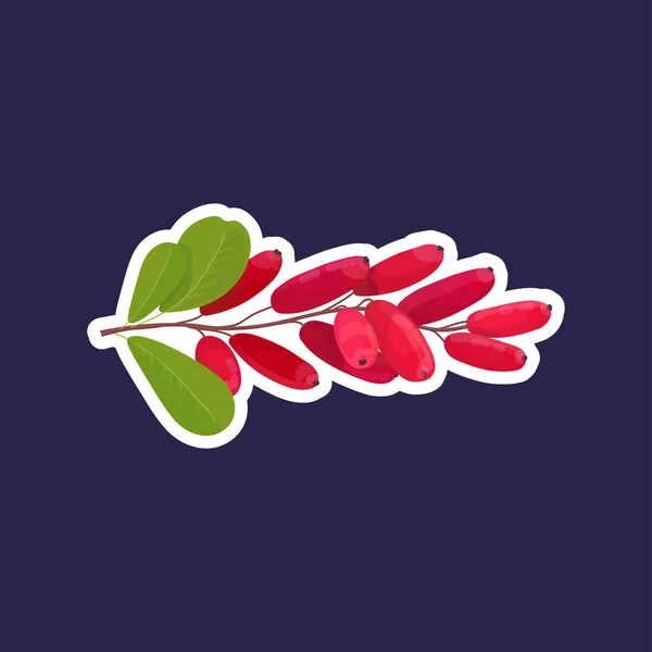 Friss lédús borbély ikon ízletes érett gyümölcs bogyó egészséges étel koncepció — Stock Vector