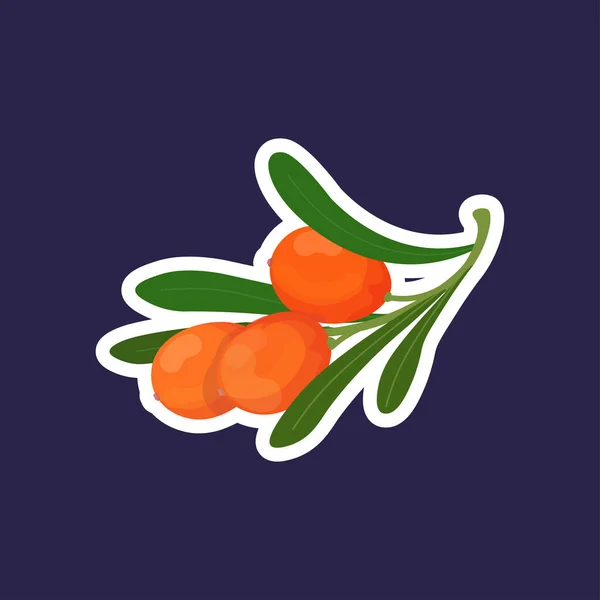 Fresh juicy sea buckthorn icon tasty ripe fruit berry healthy food concept — Stock Vector