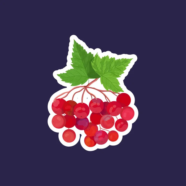 Färsk viburnum ikon välsmakande mogen frukt bär hälsosam mat koncept — Stock vektor