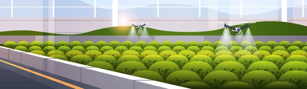 Drones agrícolas pulverizadores quad copters volando para pulverizar fertilizantes químicos en invernadero inteligente agricultura innovación — Archivo Imágenes Vectoriales