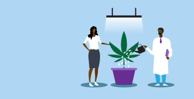 Afro-Amerikan kadın hastalarına tıbbi marihuana sunan doktor suluyor. Yasal uyuşturucu tüketimi tıp kavramı yatay olarak uzanıyor.