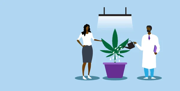 医師散水大麻植物はアフリカ系アメリカ人女性に医療用マリファナを提供します患者の法的薬物消費医学の概念水平方向の完全な長さ — ストックベクタ