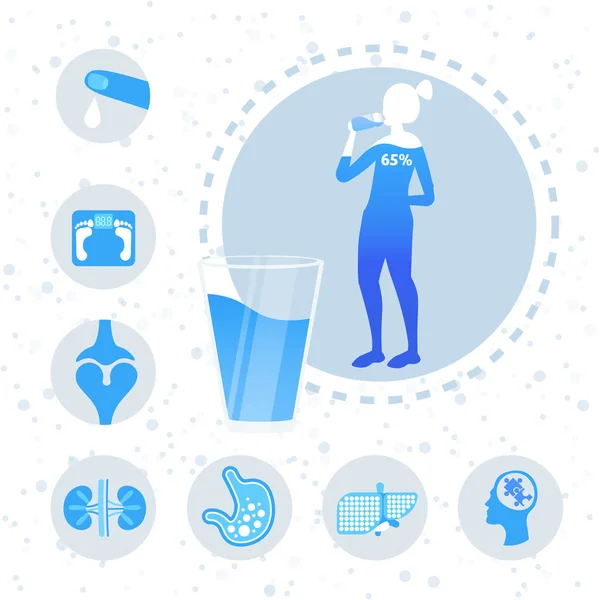 Wasserhaushalt in menschlichen Körperorganen Poster mit Frau Silhouette Trinkwasser Nutzen Infografik in voller Länge — Stockvektor