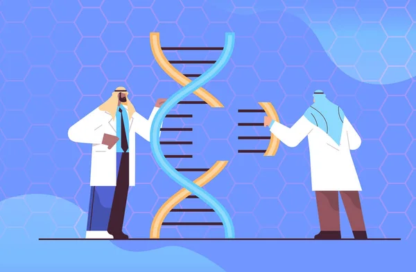 Cientistas árabes que trabalham com pesquisadores de DNA árabe fazendo experiência em laboratório DNA testar conceito de diagnóstico genético —  Vetores de Stock