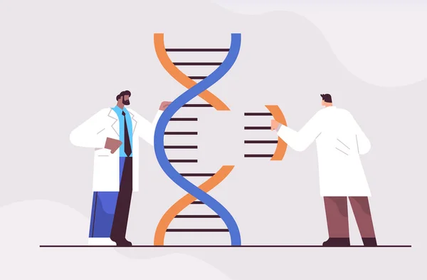 Blanda ras forskare som arbetar med DNA-forskare gör experiment i lab DNA-testning genetisk diagnos koncept — Stock vektor