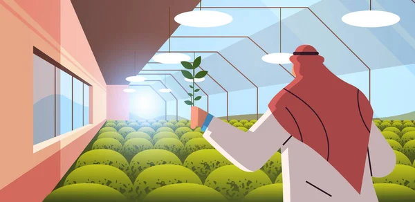 Arab engenheiro agrícola planta de pesquisa em estufa cientista da agricultura conceito de agricultura inteligente — Vetor de Stock