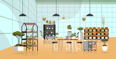 sera bitkileri raflara saksı çiçekleri portakallar ya da çiçekçi dükkanının iç kısımları yatay