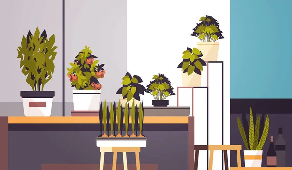 Φυτά Γλάστρες Θερμοκηπίου Στο Ράφι Έννοια Κηπουρική Σαλόνι Εσωτερικό Οριζόντιο — Διανυσματικό Αρχείο