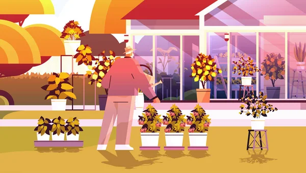 Ανώτερος Κηπουρός Άνθρωπος Πότισμα Μπορεί Φροντίσει Γλάστρες Φυτά Στο Θερμοκήπιο — Διανυσματικό Αρχείο