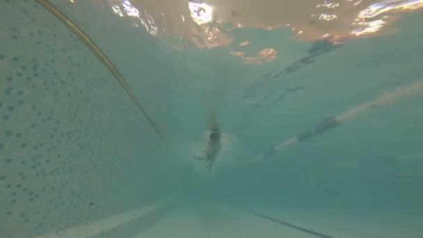 Homme nageant sous l'eau dans la piscine 