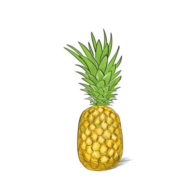 ananas vektör karikatür