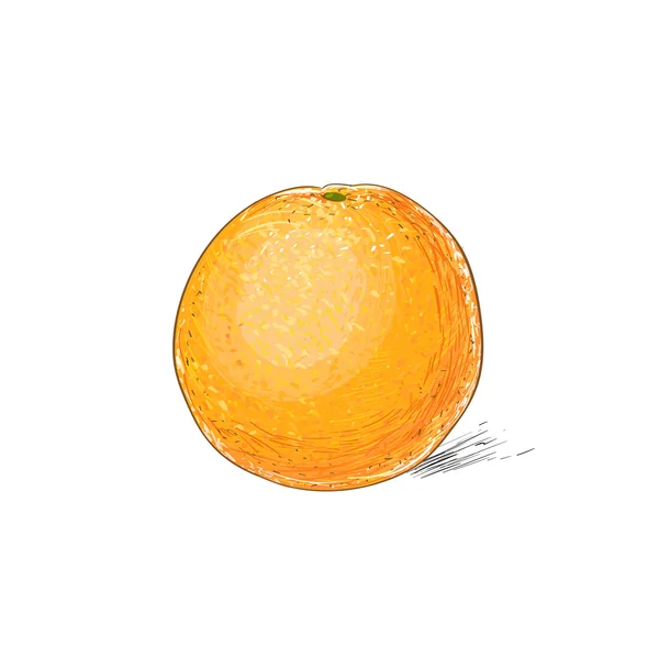 Gezogene saftige Orange — Stockvektor