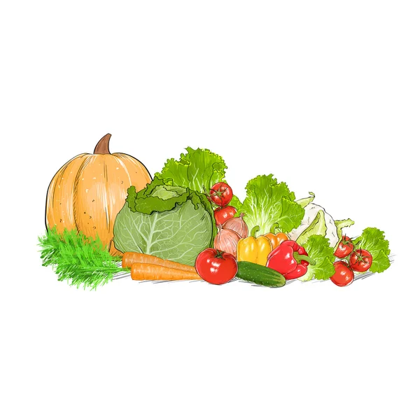 Sayuran mentah segar - Stok Vektor