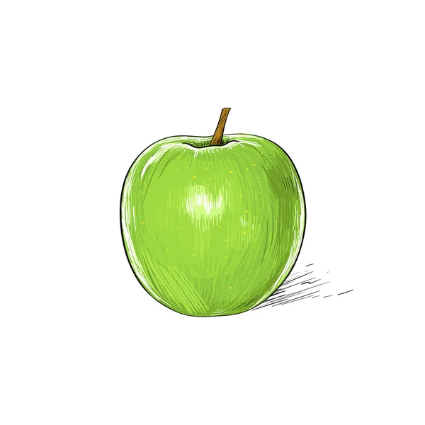Tažené zelené jablko — Stockový vektor