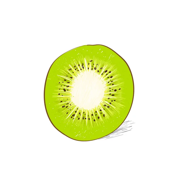 Grön kiwi halv — Stock vektor