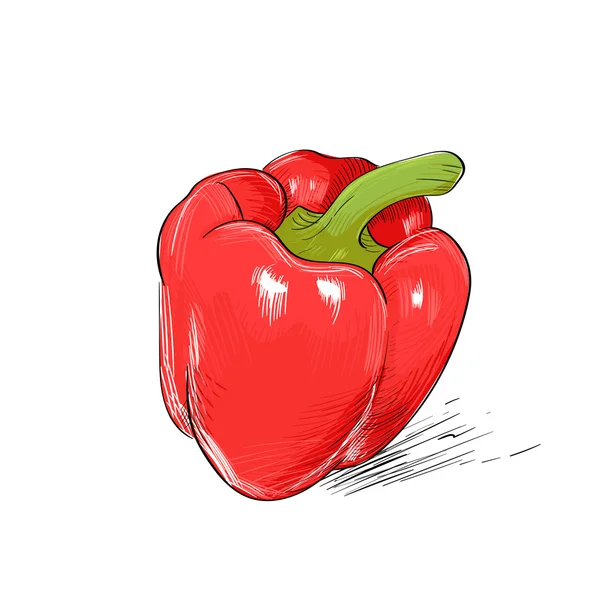 Rode paprika plantaardige. — Stockvector